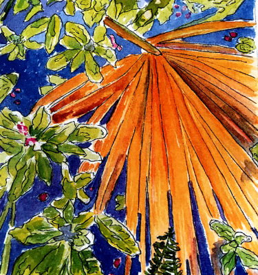 Orange Palm at Ormond Memorial Gardens