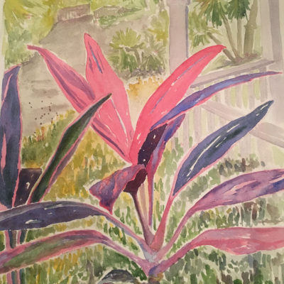 Hawaiian Ti at Ormond Memorial Gardens