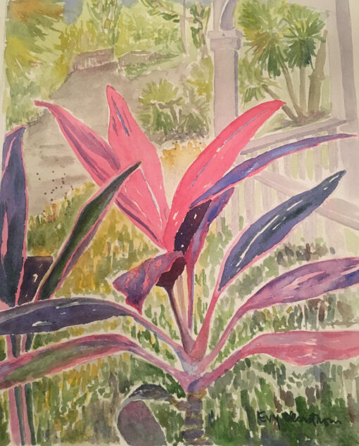 Hawaiian Ti at Ormond Memorial Gardens