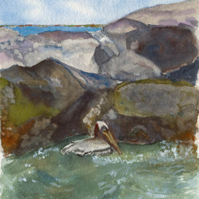 Pelican at New Smyrna Beach