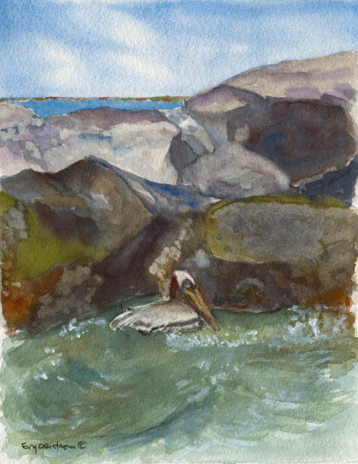 Pelican at New Smyrna Beach
