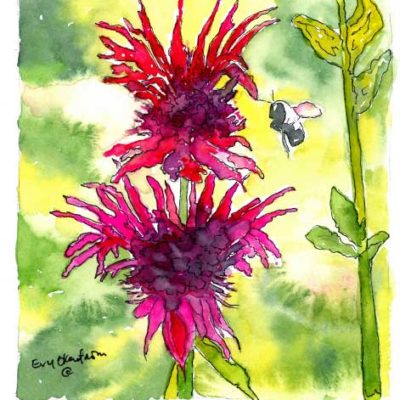 Bee Balm Card