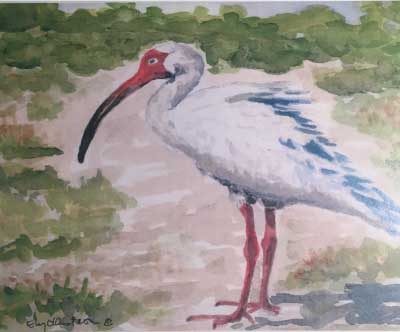 Ibis on the Beach Painting