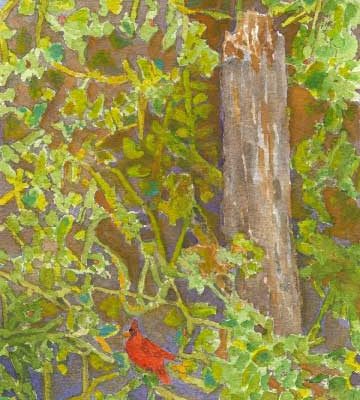 "Cardinal"