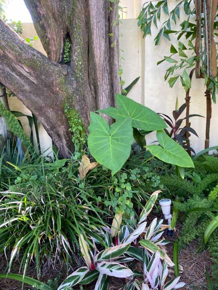IMG_0699-Hub-Courtyard