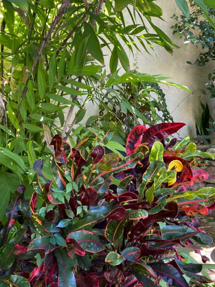 IMG_0715-Hub-courtyard