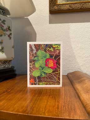 Lantana-Two