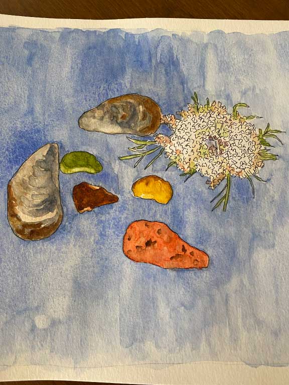 Evy-Trip-to-Maine-IMG-3042-Drawing-Pen-and-Ink-with-WC-wash-found-items-from-Lennie-Beach