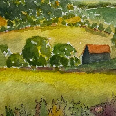 Farm Garden with Flowers and Cardinal