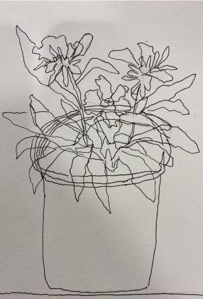 Evy-Okerstrom-Hub-Class-Contour-Drawing-Plant-Dianthus