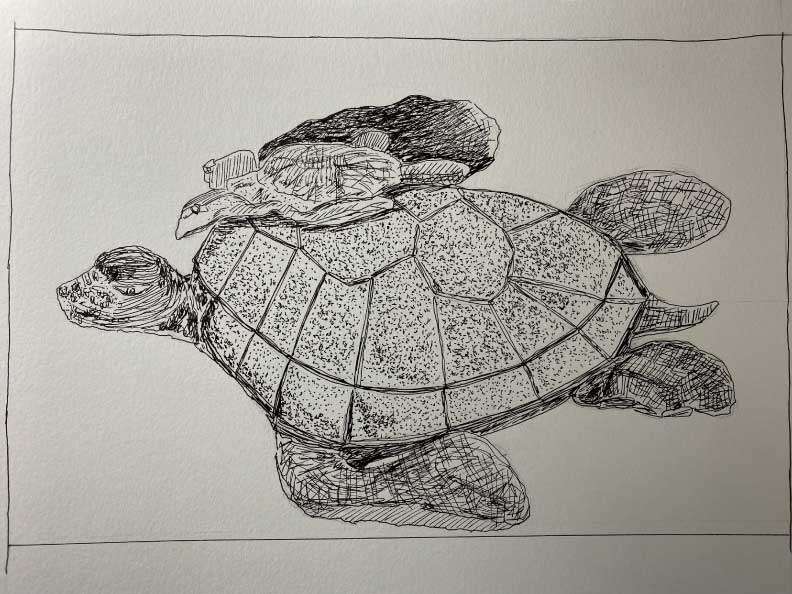 Evy-Okerstrom-Hub-Class-Momma-Pottery-Turtle-with-baby