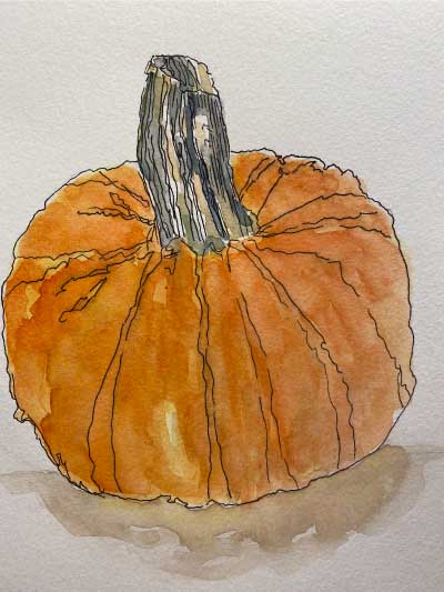 Evy-Okerstrom-Hub-Class-Pumplin-Pen-and-Ink-WC