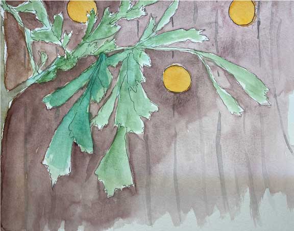 Evy-Okerstrom-March-Blog-Hub-February-10-Class-on-Trees-IMG-5423