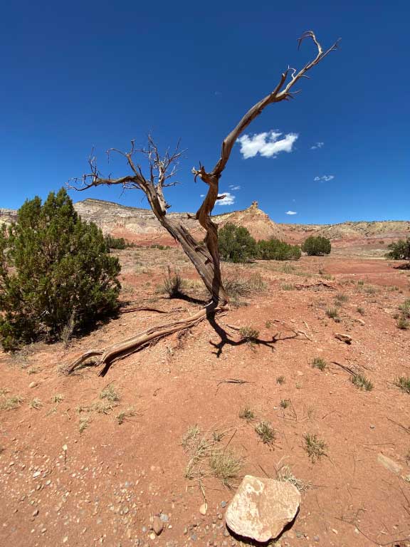 Evy-Okerstrom-Ghost-Ranch-Landscape-Tour-May-2022