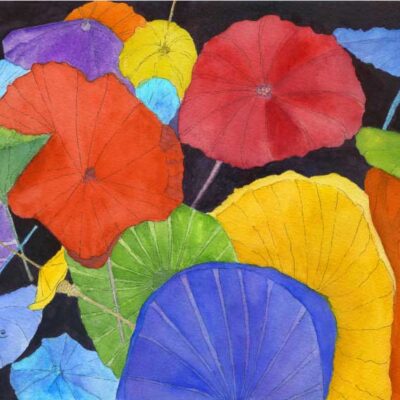 Umbrellas