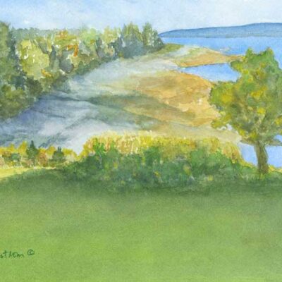 "Afternoon Sun"