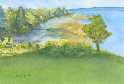 "Afternoon Sun"