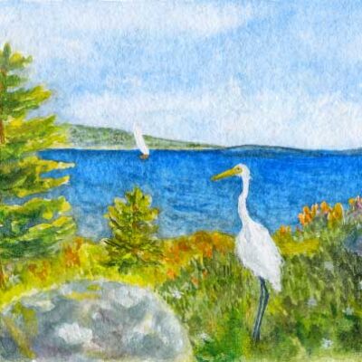 "Looking out at Blue Hill Bay"