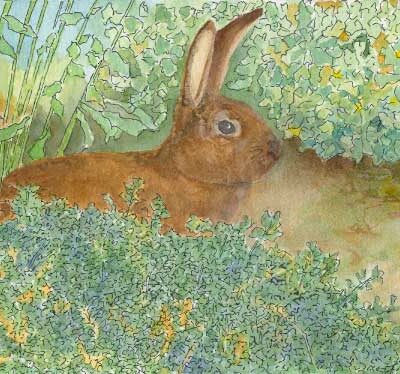 "The Year of the Rabbit"
