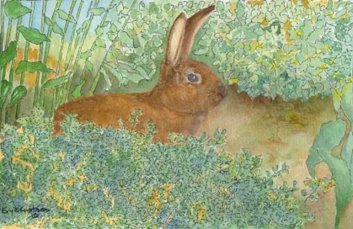 "The Year of the Rabbit"