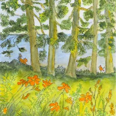 "The View from Lennie's Kitchen"