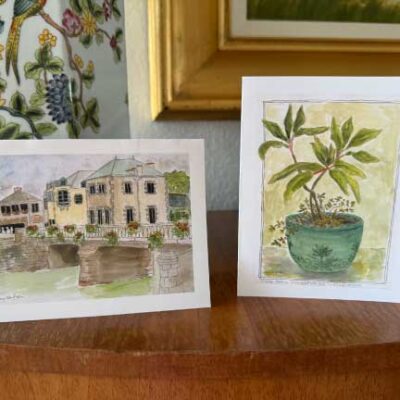 Potted Plant