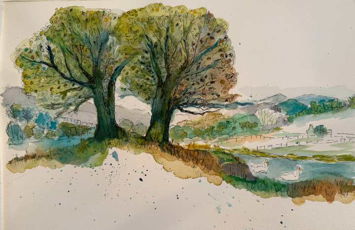 Evy-July-2025-Blog-picture-Rural-Landscape