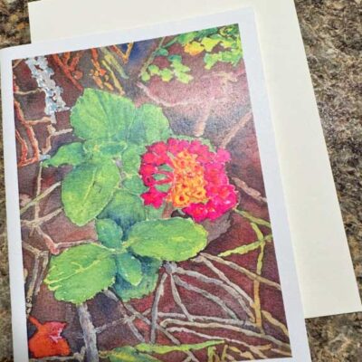 Lantana 2