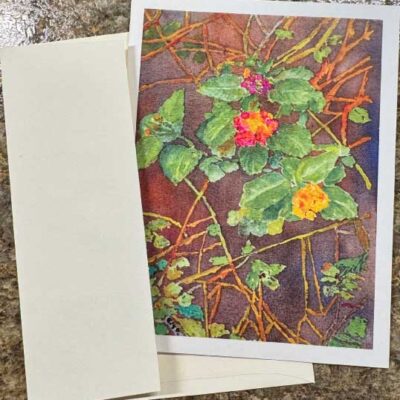 Lantana 1